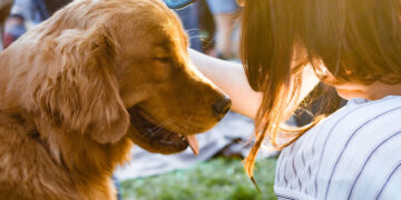 가족의 일원, 반려동물을 위한 펫 트러스트