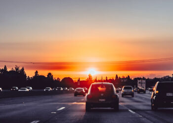 프리웨이에서 제 과실로 사고가 났습니다