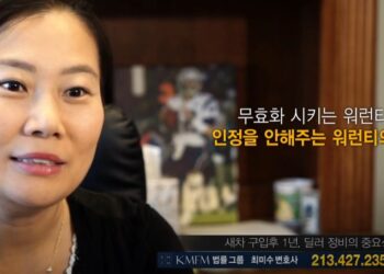 최미수레몬법변호사