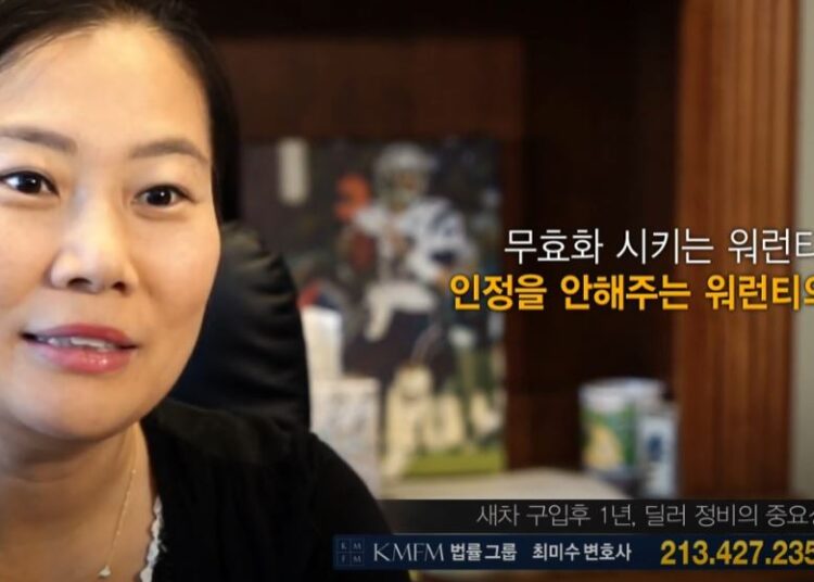 최미수레몬법변호사