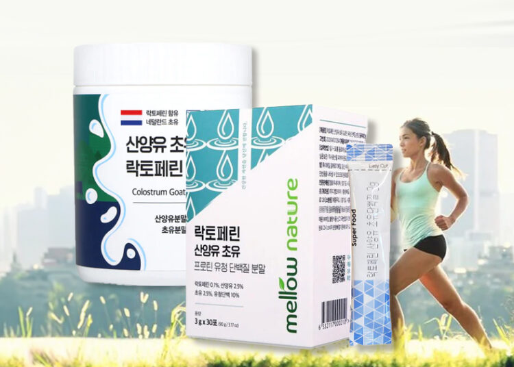 단백질보충제