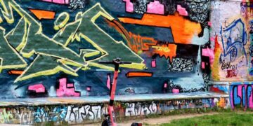 미국 대학 지원 포트폴리오의 모든 것