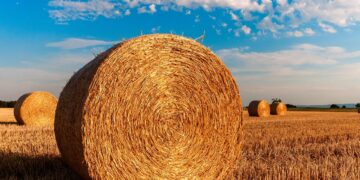 미국 투자이민 EB-5 농촌지역 투자. 빠른 미국 영주권 취득